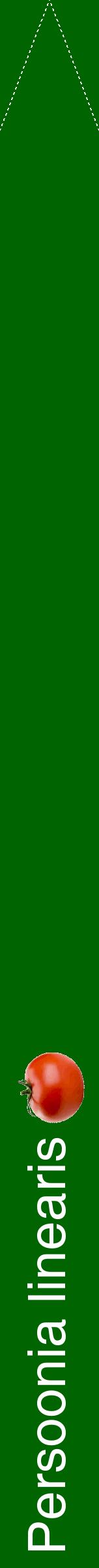 Étiquette de : Persoonia linearis - format b - style blanche8hel avec comestibilité simplifiée