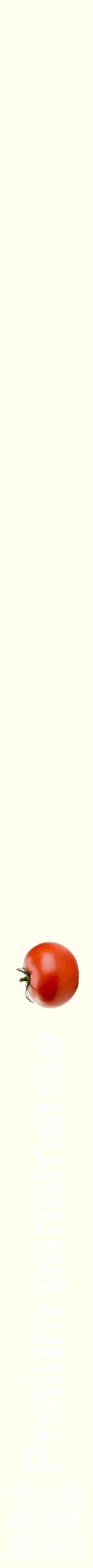 Étiquette de : Protium panamense - format b - style blanche19hel avec qrcode et comestibilité simplifiée