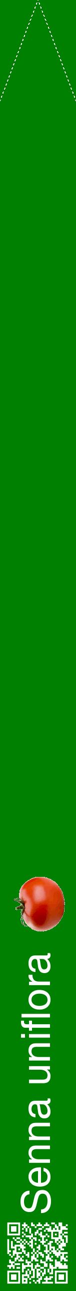 Étiquette de : Senna uniflora - format b - style blanche9hel avec qrcode et comestibilité simplifiée