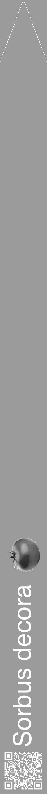 Étiquette de : Sorbus decora - format b - style blanche52hel avec qrcode et comestibilité simplifiée - position verticale