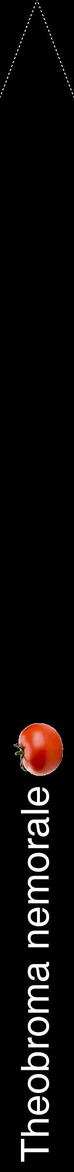 Étiquette de : Theobroma nemorale - format b - style blanche59hel avec comestibilité simplifiée