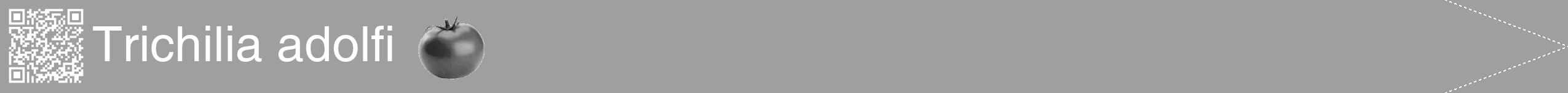 Étiquette de : Trichilia adolfi - format b - style blanche24hel avec qrcode et comestibilité simplifiée