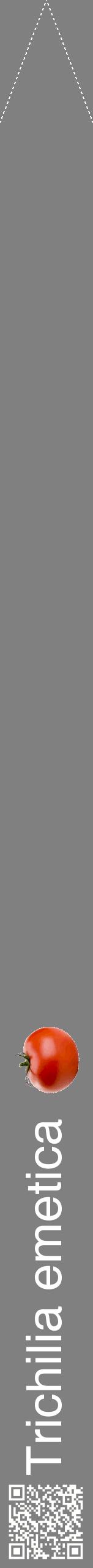 Étiquette de : Trichilia emetica - format b - style blanche57hel avec qrcode et comestibilité simplifiée