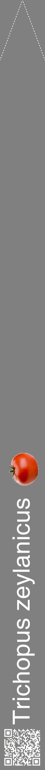 Étiquette de : Trichopus zeylanicus - format b - style blanche57hel avec qrcode et comestibilité simplifiée