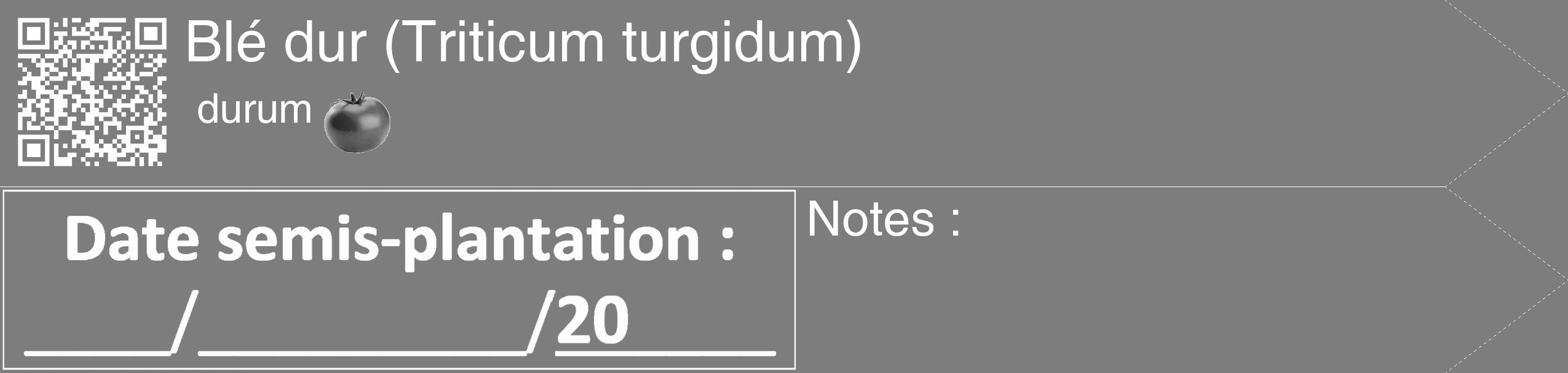 Étiquette de : Triticum turgidum durum - format c - style blanche35_simple_simplehel avec qrcode et comestibilité simplifiée