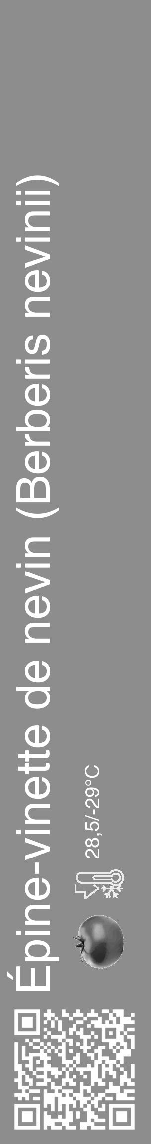 Étiquette de : Berberis nevinii - format c - style blanche2_basique_basiquehel avec qrcode et comestibilité simplifiée - position verticale