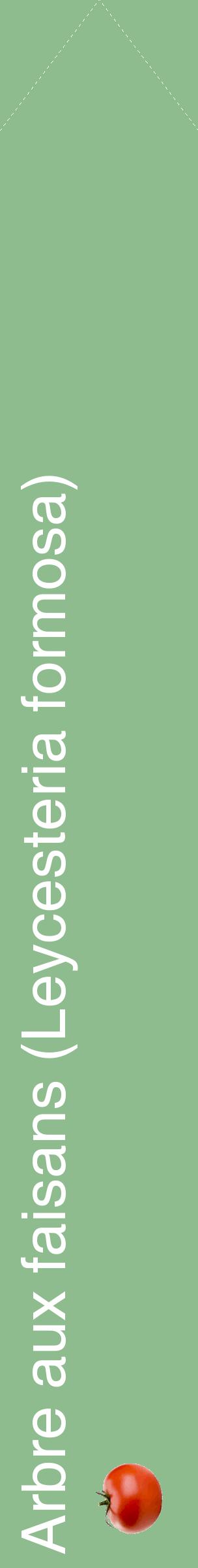 Étiquette de : Leycesteria formosa - format c - style blanche13_simplehel avec comestibilité simplifiée