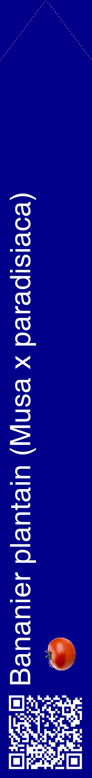 Étiquette de : Musa x paradisiaca - format c - style blanche7_simplehel avec qrcode et comestibilité simplifiée