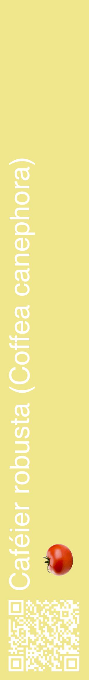 Étiquette de : Coffea canephora - format c - style blanche20_basiquehel avec qrcode et comestibilité simplifiée