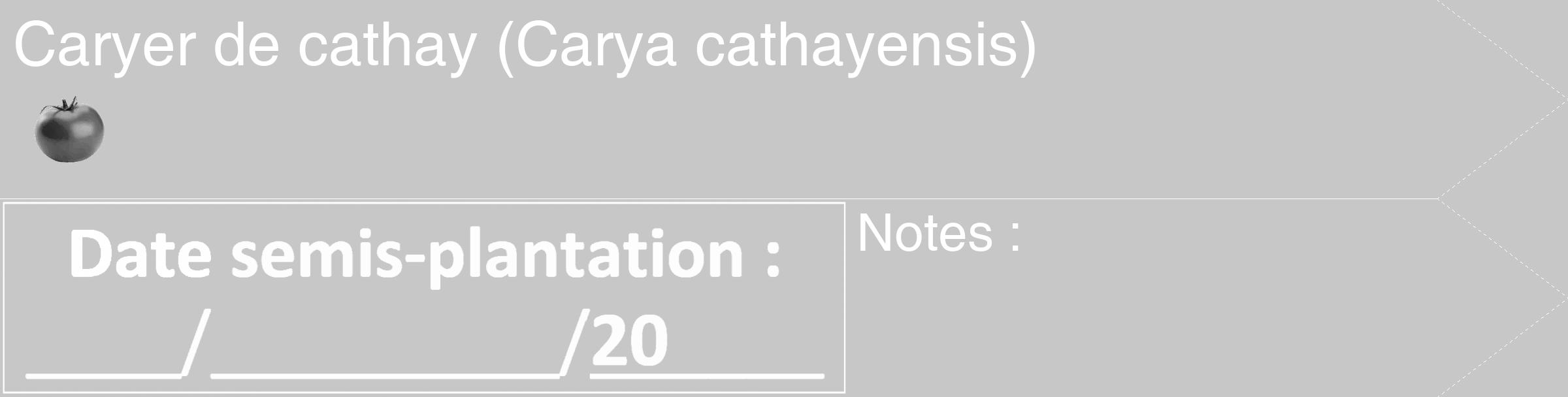 Étiquette de : Carya cathayensis - format c - style blanche15_simple_simplehel avec comestibilité simplifiée
