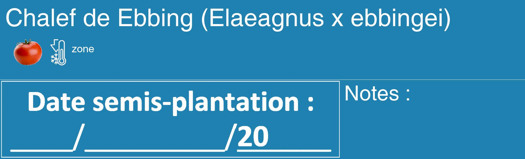 Étiquette de : Elaeagnus x ebbingei - format c - style blanche6_basique_basiquehel avec comestibilité simplifiée