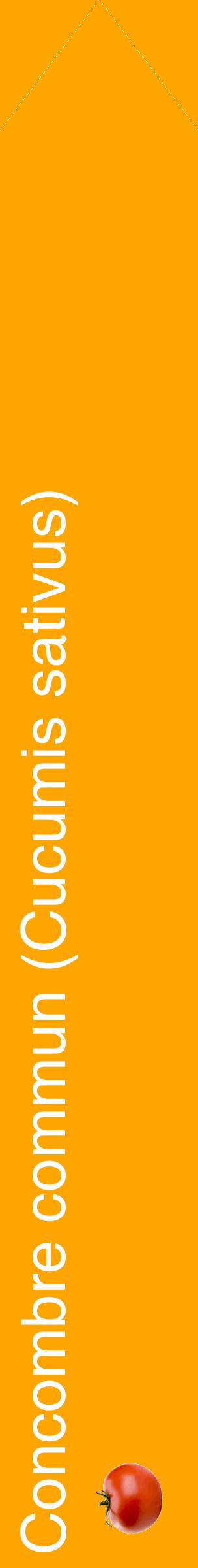 Étiquette de : Cucumis sativus - format c - style blanche22_simplehel avec comestibilité simplifiée