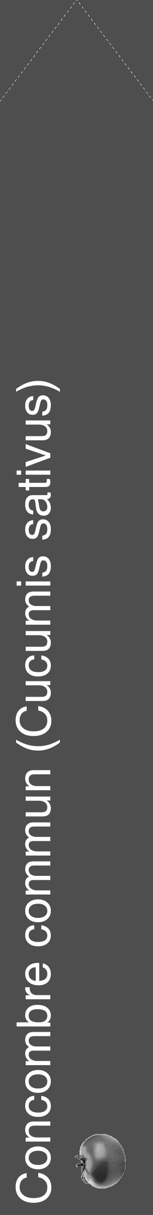 Étiquette de : Cucumis sativus - format c - style blanche33simple_simple_simplehel avec comestibilité simplifiée - position verticale