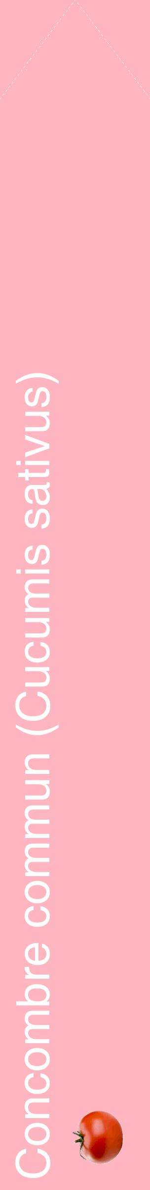 Étiquette de : Cucumis sativus - format c - style blanche41_simplehel avec comestibilité simplifiée
