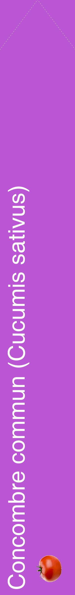Étiquette de : Cucumis sativus - format c - style blanche50_simplehel avec comestibilité simplifiée