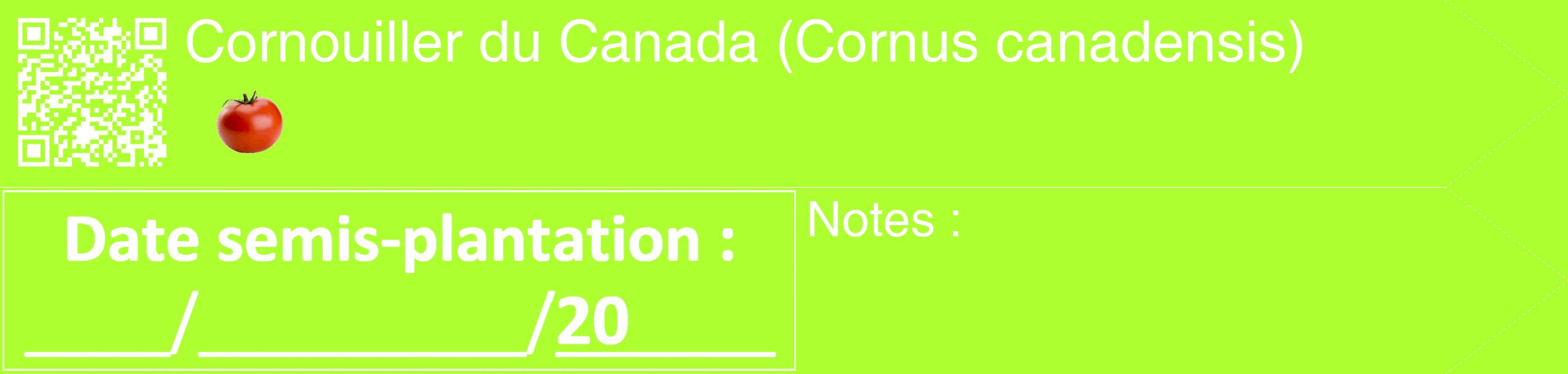 Étiquette de : Cornus canadensis - format c - style blanche17_simple_simplehel avec qrcode et comestibilité simplifiée