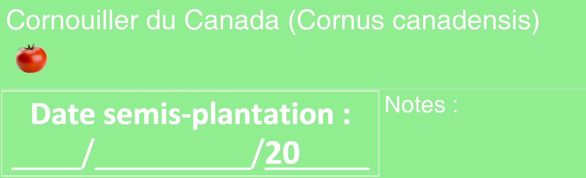 Étiquette de : Cornus canadensis - format c - style blanche15_basique_basiquehel avec comestibilité simplifiée