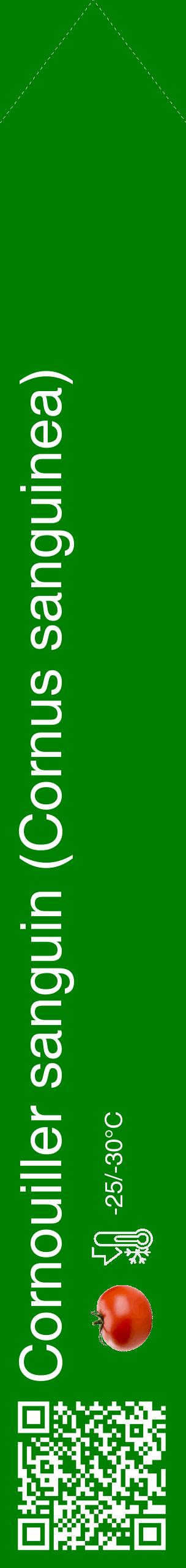 Étiquette de : Cornus sanguinea - format c - style blanche9_simple_simplehel avec qrcode et comestibilité simplifiée - position verticale