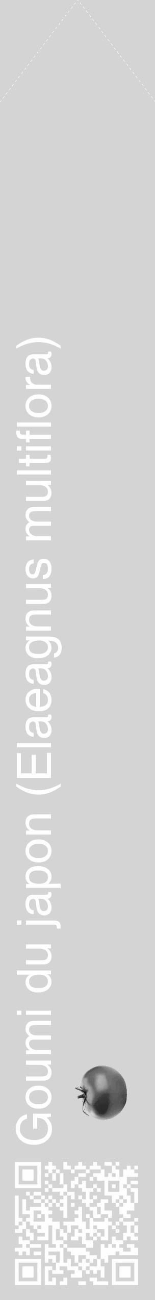 Étiquette de : Elaeagnus multiflora - format c - style blanche40_simple_simplehel avec qrcode et comestibilité simplifiée - position verticale