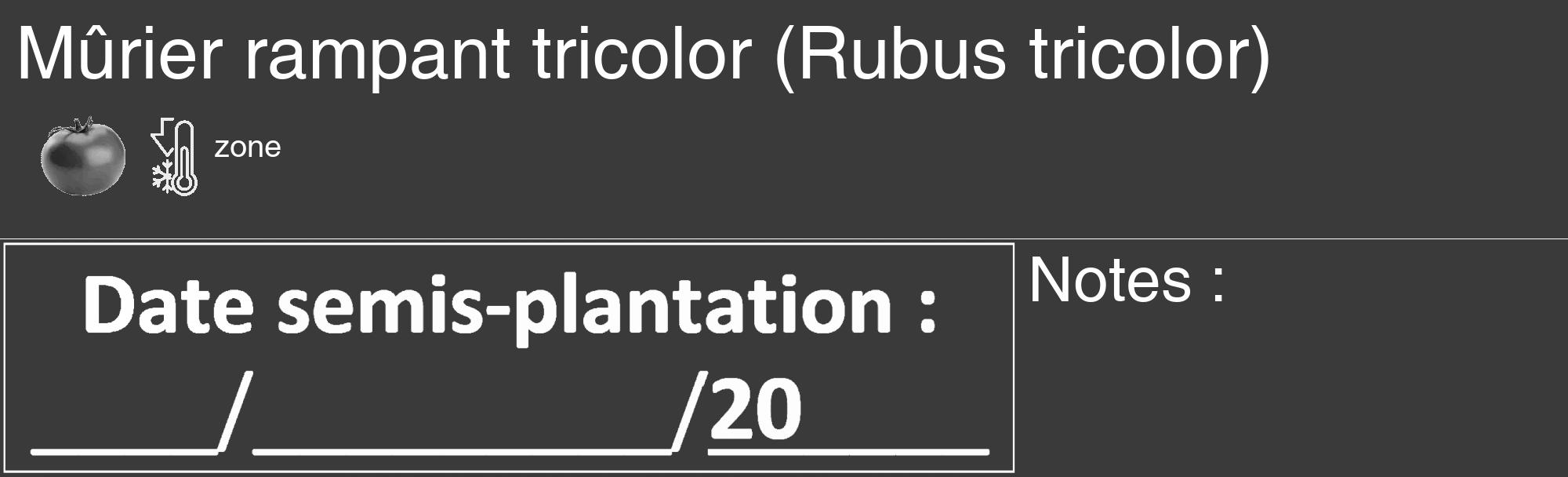 Étiquette de : Rubus tricolor - format c - style blanche8_basique_basiquehel avec comestibilité simplifiée