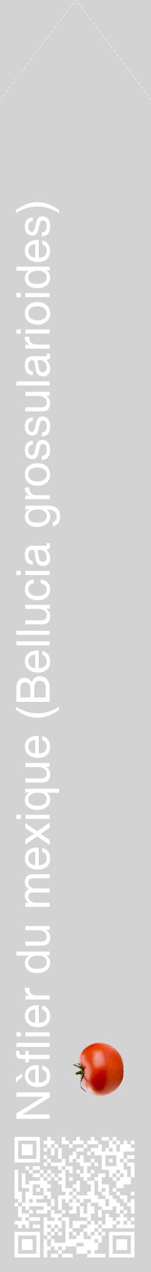 Étiquette de : Bellucia grossularioides - format c - style blanche56_simplehel avec qrcode et comestibilité simplifiée