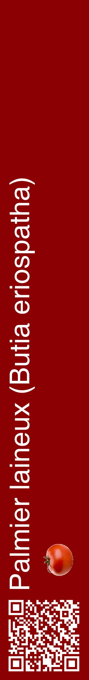 Étiquette de : Butia eriospatha - format c - style blanche34_basiquehel avec qrcode et comestibilité simplifiée