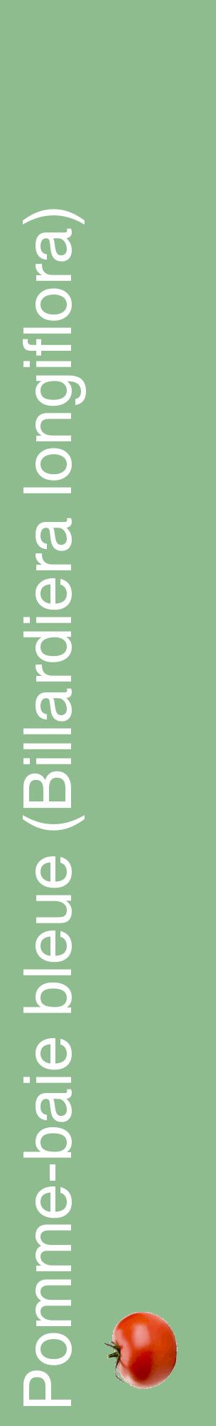 Étiquette de : Billardiera longiflora - format c - style blanche13_basiquehel avec comestibilité simplifiée