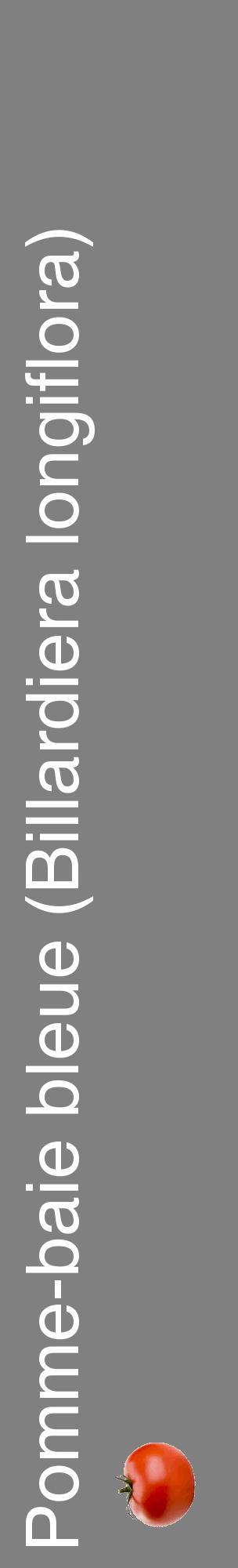 Étiquette de : Billardiera longiflora - format c - style blanche57_basiquehel avec comestibilité simplifiée