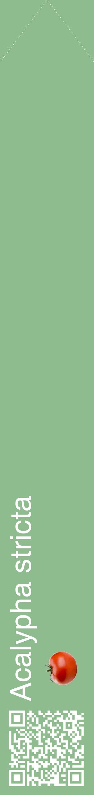 Étiquette de : Acalypha stricta - format c - style blanche13_simplehel avec qrcode et comestibilité simplifiée