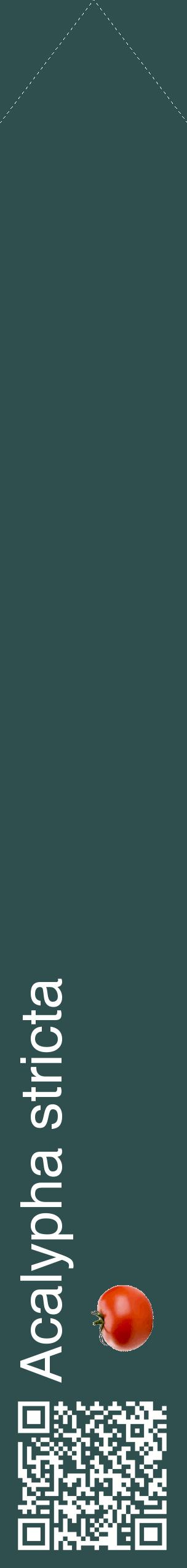 Étiquette de : Acalypha stricta - format c - style blanche58_simplehel avec qrcode et comestibilité simplifiée