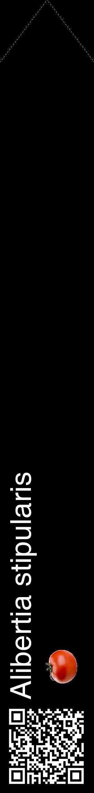 Étiquette de : Alibertia stipularis - format c - style blanche59_simplehel avec qrcode et comestibilité simplifiée