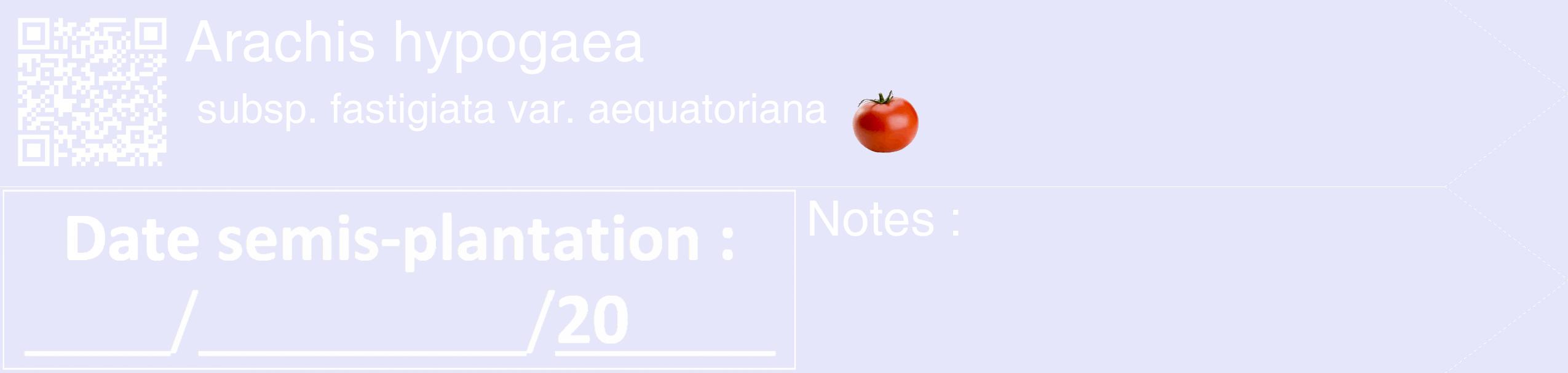 Étiquette de : Arachis hypogaea subsp. fastigiata var. aequatoriana - format c - style blanche55_simple_simplehel avec qrcode et comestibilité simplifiée