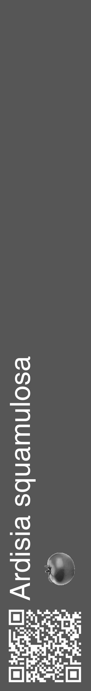 Étiquette de : Ardisia squamulosa - format c - style blanche45_basique_basiquehel avec qrcode et comestibilité simplifiée - position verticale