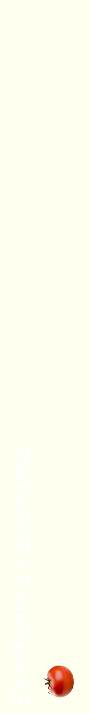 Étiquette de : Berchemia racemosa - format c - style blanche19_simplehel avec comestibilité simplifiée