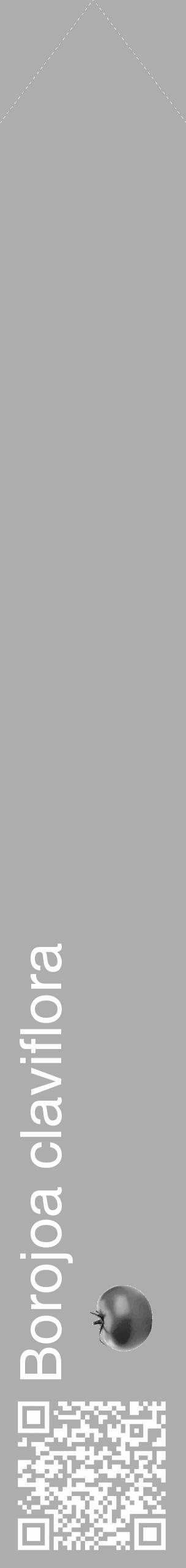 Étiquette de : Borojoa claviflora - format c - style blanche22_simple_simplehel avec qrcode et comestibilité simplifiée - position verticale