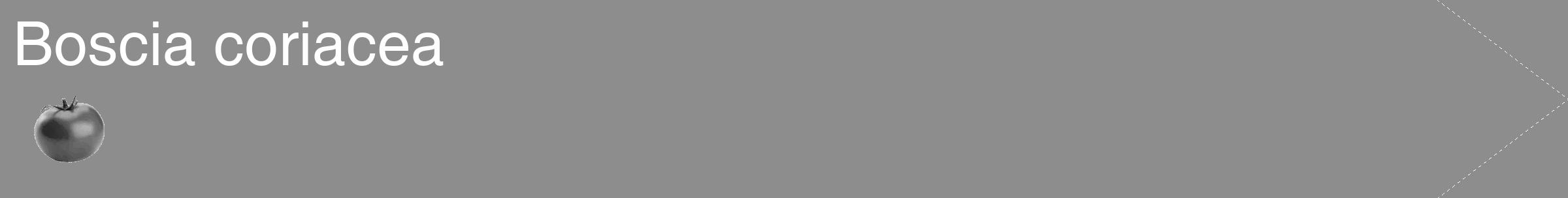 Étiquette de : Boscia coriacea - format c - style blanche2_simple_simplehel avec comestibilité simplifiée