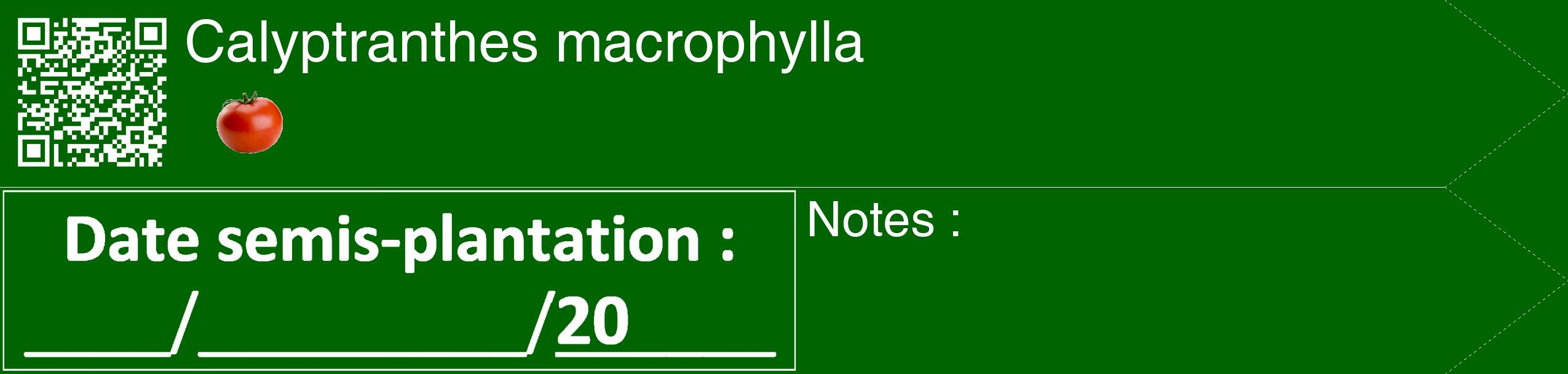 Étiquette de : Calyptranthes macrophylla - format c - style blanche8_simple_simplehel avec qrcode et comestibilité simplifiée