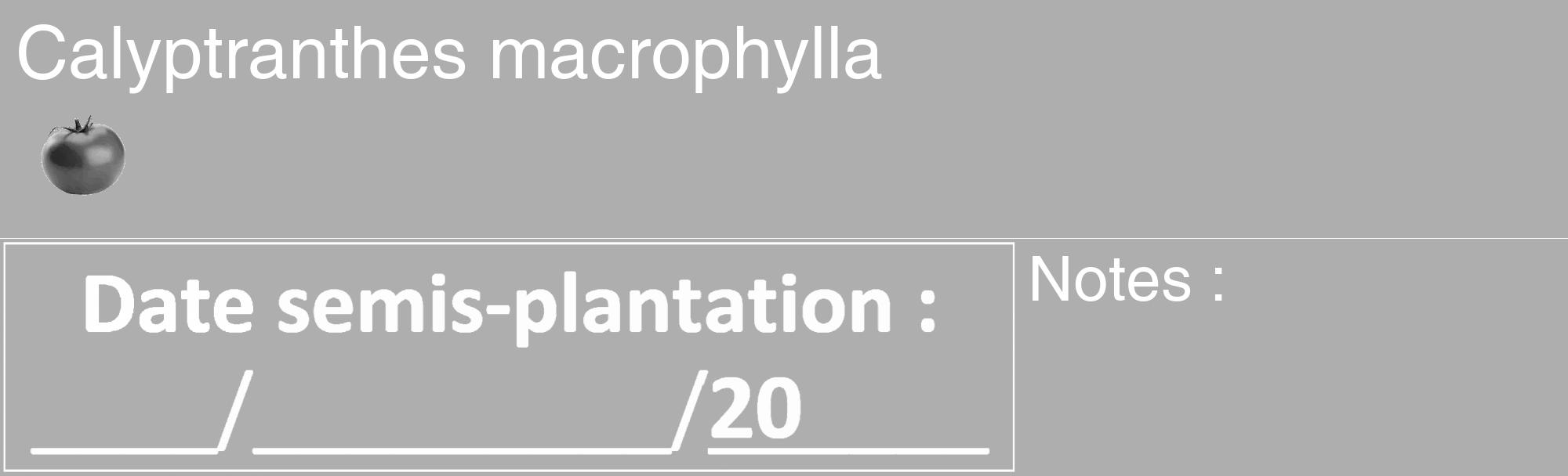 Étiquette de : Calyptranthes macrophylla - format c - style blanche53_basique_basiquehel avec comestibilité simplifiée