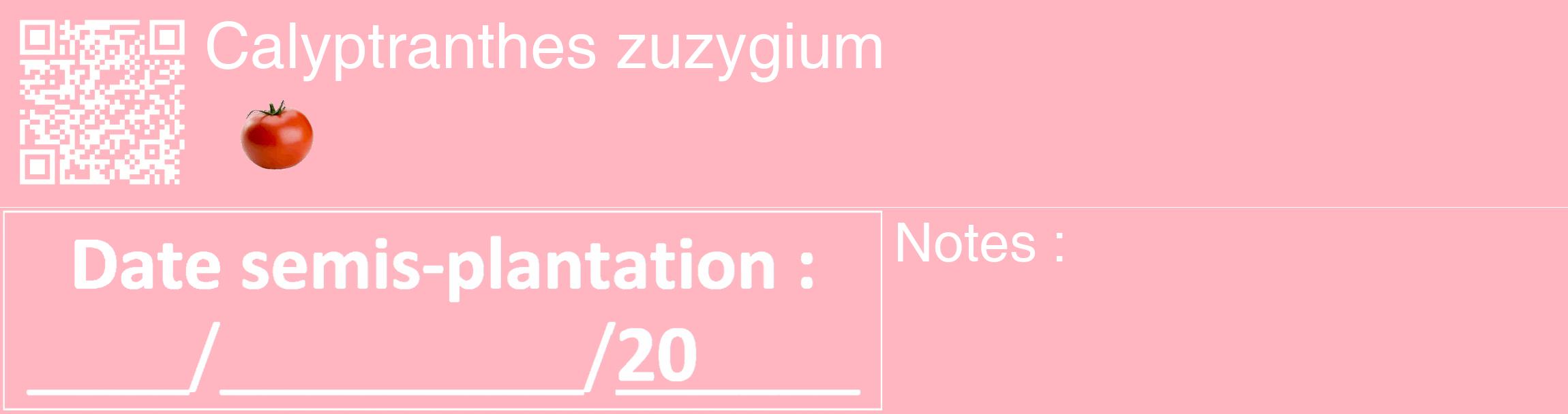 Étiquette de : Calyptranthes zuzygium - format c - style blanche41_basique_basiquehel avec qrcode et comestibilité simplifiée