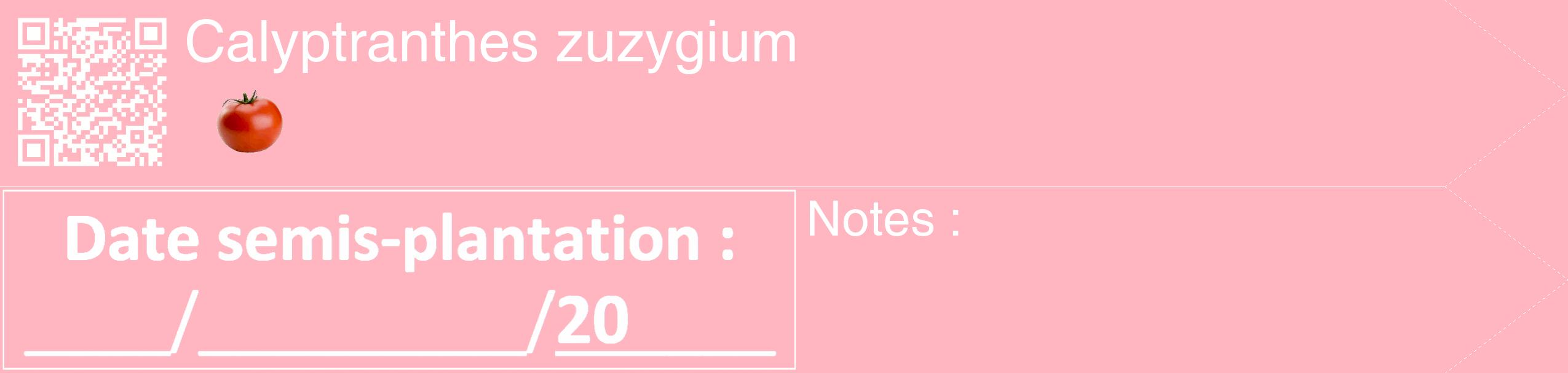 Étiquette de : Calyptranthes zuzygium - format c - style blanche41_simple_simplehel avec qrcode et comestibilité simplifiée