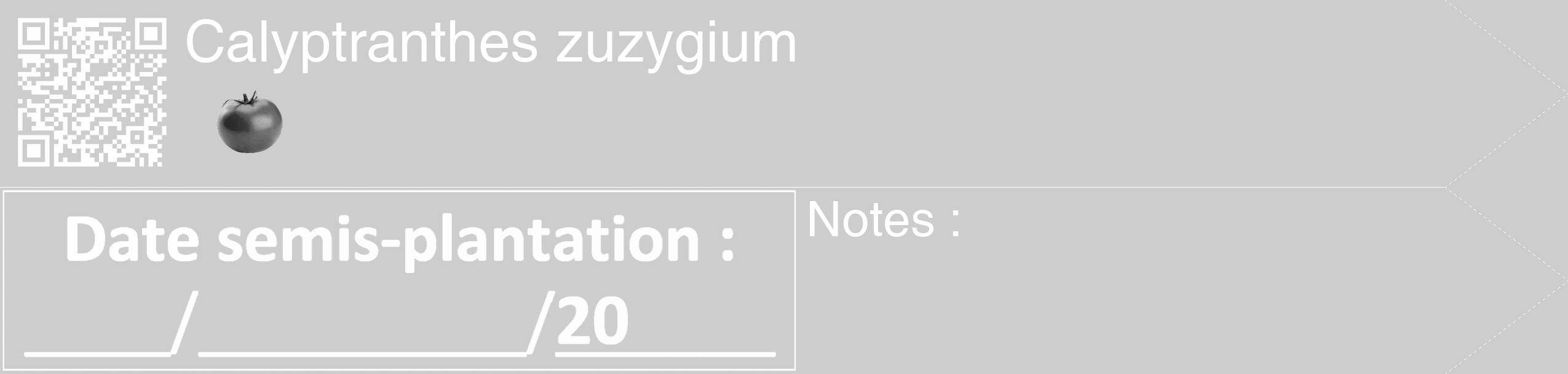 Étiquette de : Calyptranthes zuzygium - format c - style blanche41_simple_simplehel avec qrcode et comestibilité simplifiée