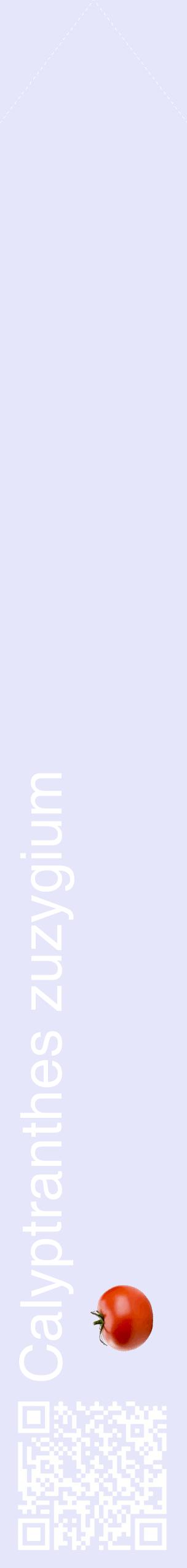 Étiquette de : Calyptranthes zuzygium - format c - style blanche55_simplehel avec qrcode et comestibilité simplifiée