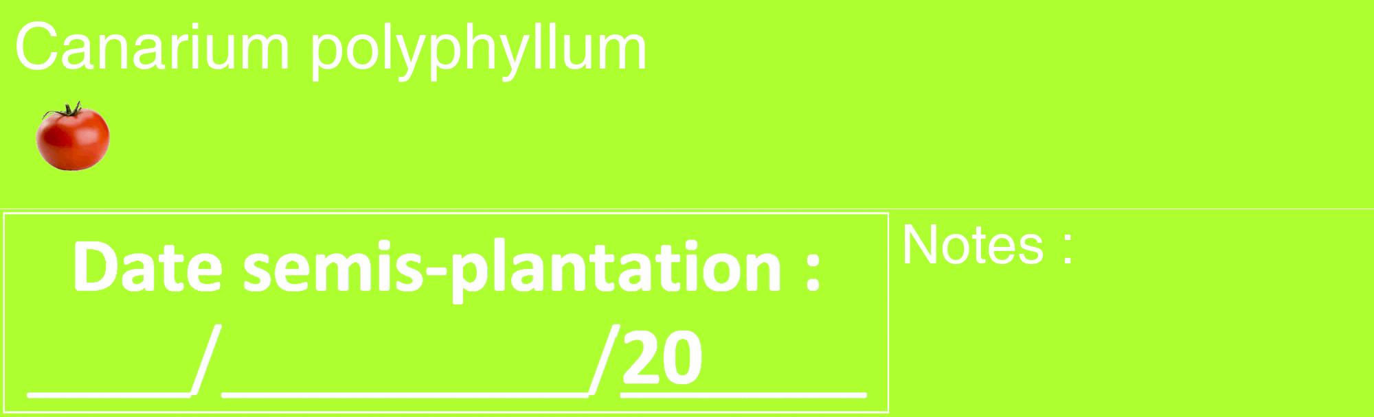 Étiquette de : Canarium polyphyllum - format c - style blanche17_basique_basiquehel avec comestibilité simplifiée