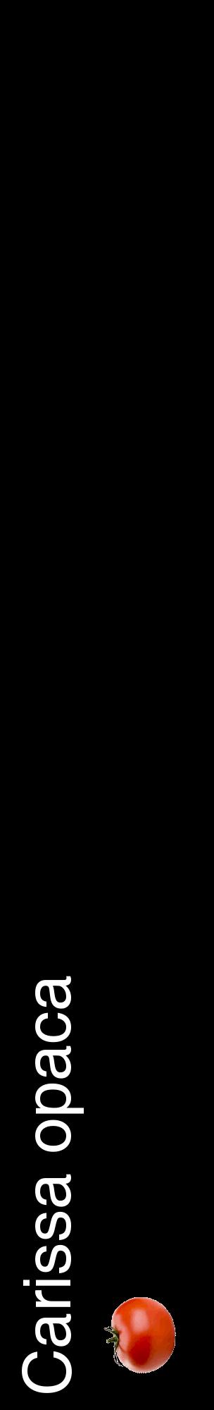 Étiquette de : Carissa opaca - format c - style blanche59_basiquehel avec comestibilité simplifiée