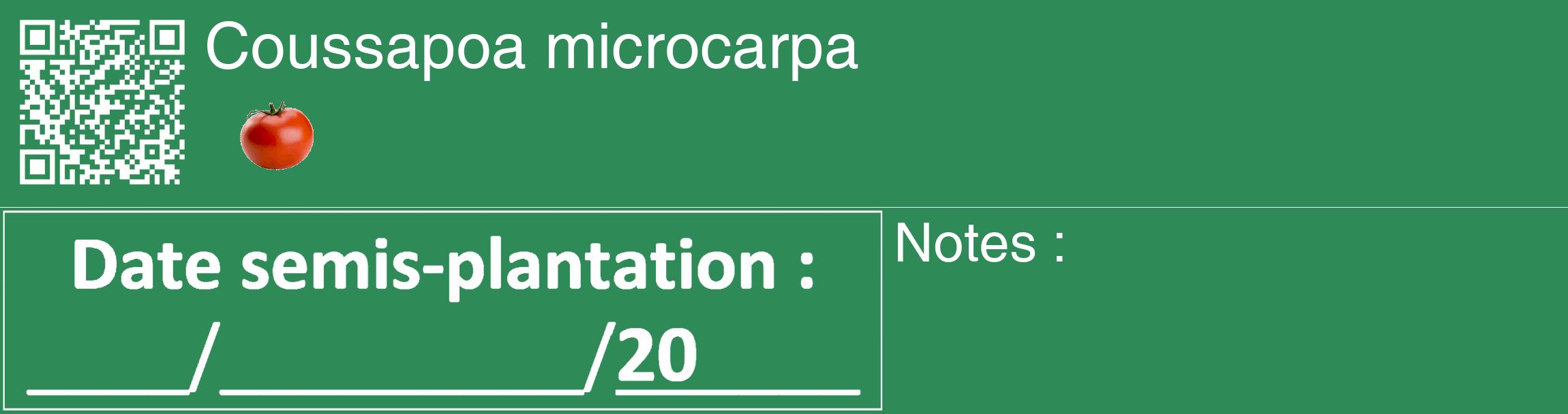Étiquette de : Coussapoa microcarpa - format c - style blanche11_basique_basiquehel avec qrcode et comestibilité simplifiée
