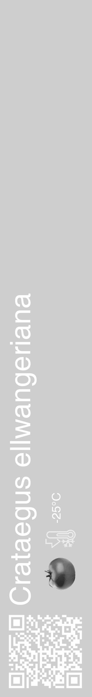 Étiquette de : Crataegus ellwangeriana - format c - style blanche17_basique_basiquehel avec qrcode et comestibilité simplifiée - position verticale