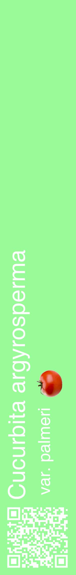 Étiquette de : Cucurbita argyrosperma var. palmeri - format c - style blanche14_basiquehel avec qrcode et comestibilité simplifiée