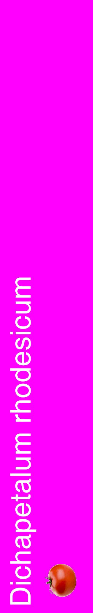 Étiquette de : Dichapetalum rhodesicum - format c - style blanche51_basiquehel avec comestibilité simplifiée