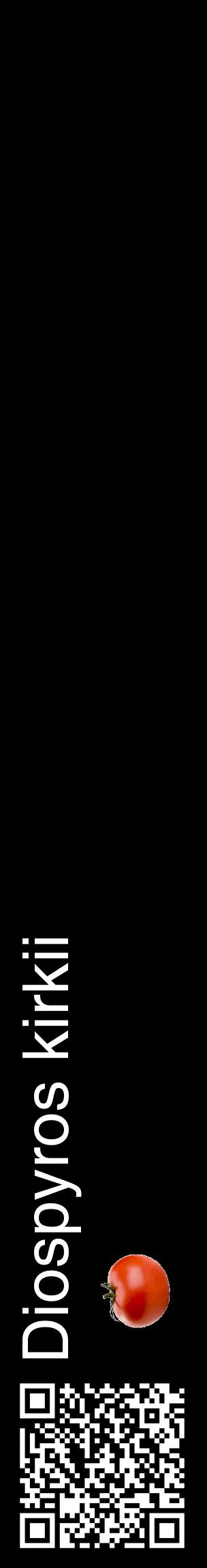 Étiquette de : Diospyros kirkii - format c - style blanche59_basiquehel avec qrcode et comestibilité simplifiée