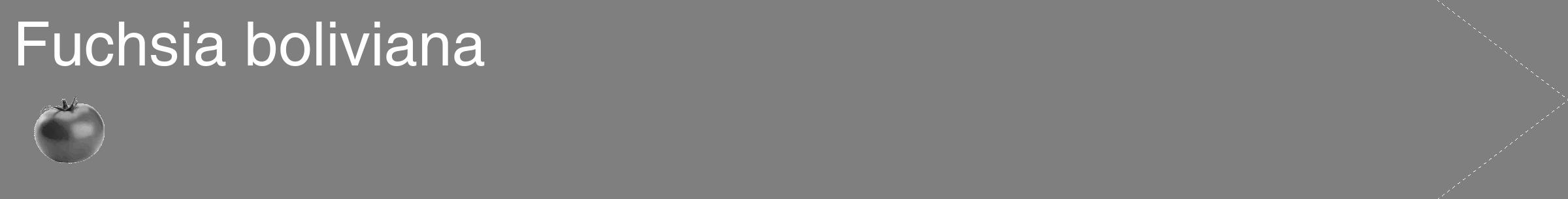 Étiquette de : Fuchsia boliviana - format c - style blanche31_simple_simplehel avec comestibilité simplifiée